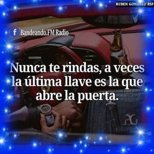 Meet your Posher, Bertin